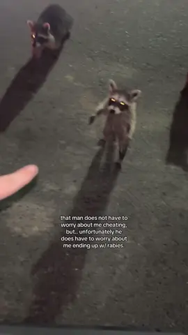 i thought this was too funny not to post😭 #fyp #real #viral #trending #raccoon 