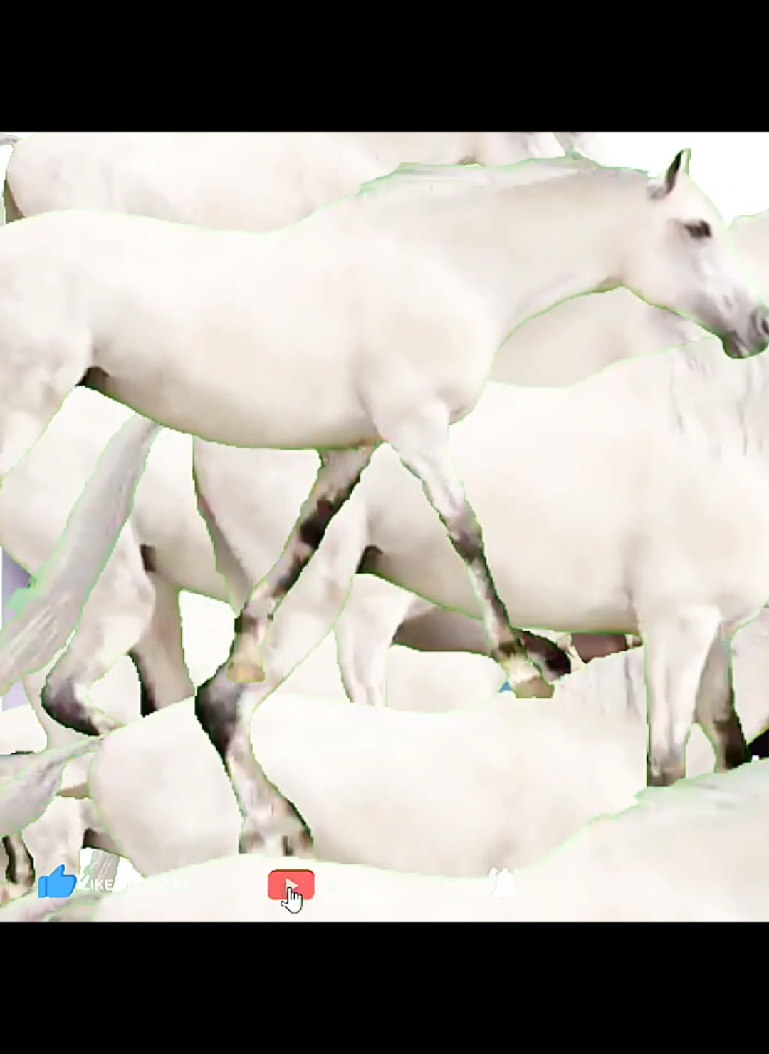 bro whats so cute about this #horses #fyp #relatable  credit bopmart 4 partial inspiration 🩸🩸🩸