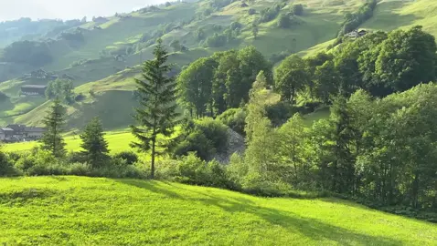 Nature vibe #nature #peace #naturevibes #viwes 