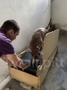 Eso no sirve amá 🤭😩😑😒 #tyra #tyralapitt #viral 