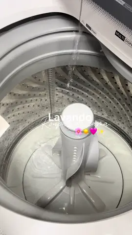 Lavando roupas 🫧🌸☀️🩷✨ #lavandoroupas #lavando #cleaning