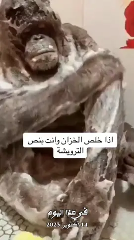 #في هذا اليوم 