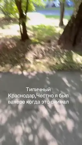 #Краснодар #fyp #ночнойактив 