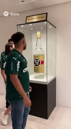 Museu do Palmeiras!😂 #ia #meme #palmeiras #flamengo #mundial 