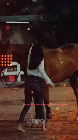 #CapCut  #ربطو حصانهم جمب حصانى 