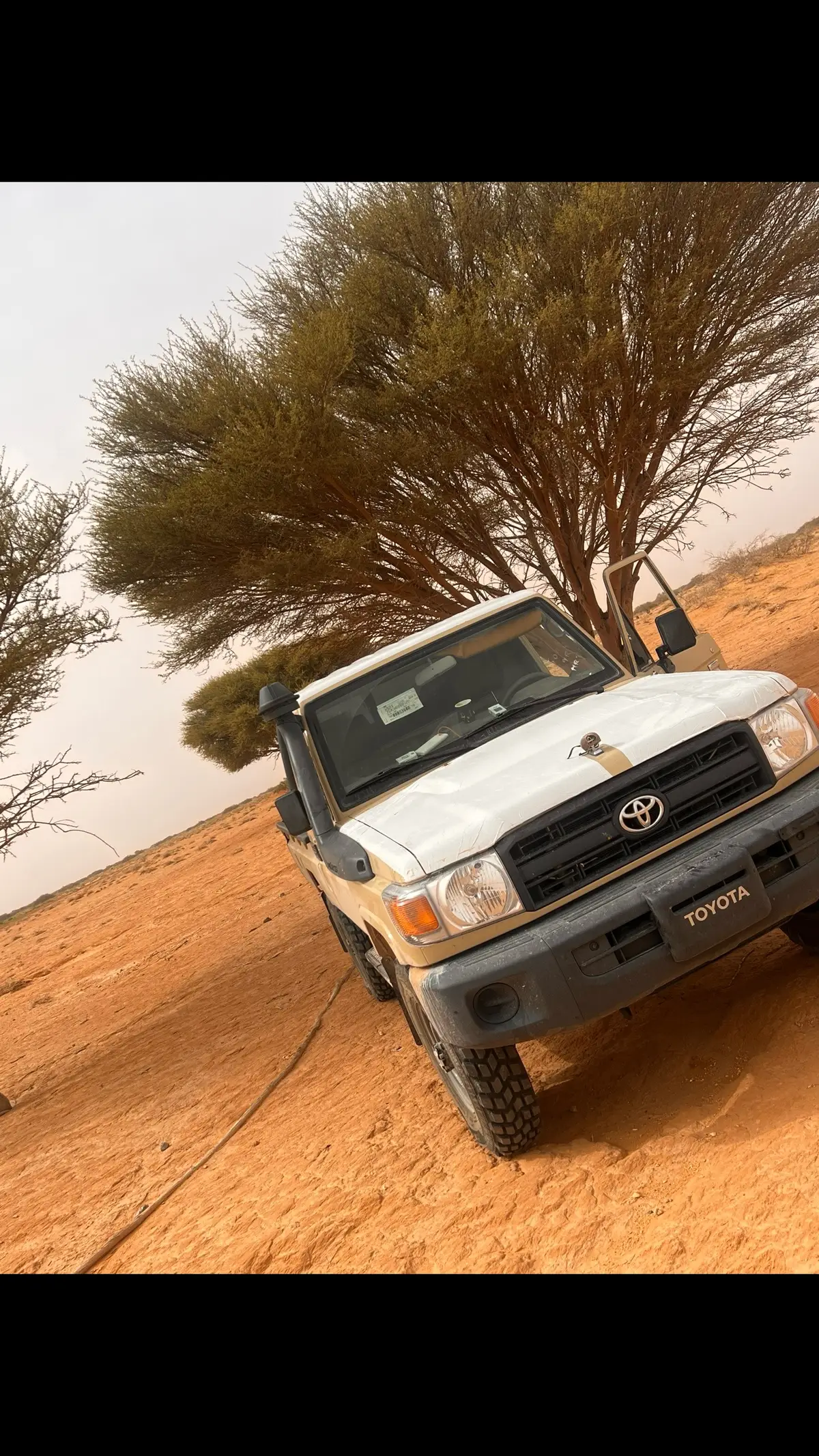 #الزنتان_ليبيا🇱🇾💚 #