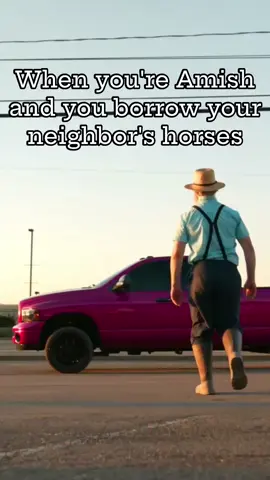 That's a lot of horses, Jacob! #AmishGoneWild #DontTellTheBishop 