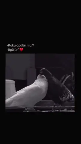 🫴🏻♥️