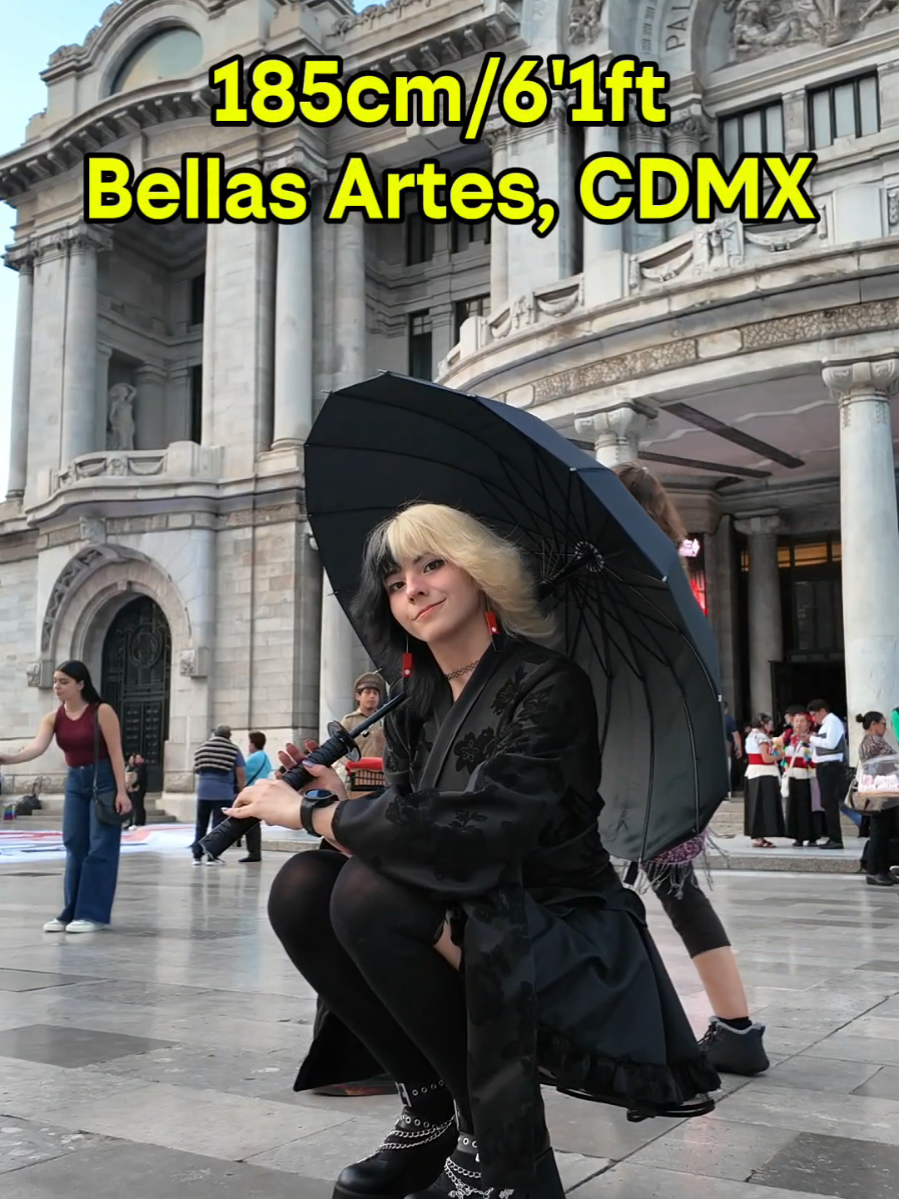 ¿Que opinan de mi outfit de @diabolicgirl66 ? 🖤  #egirl #outfit #tallgirl #aesthetic 