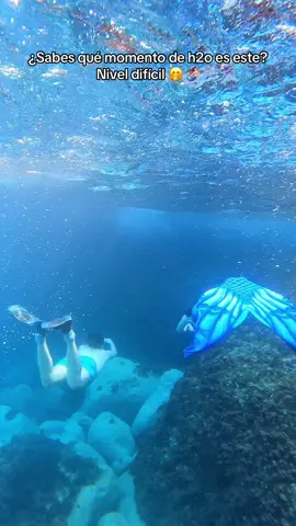 No sé si alguien lo sabrá 🤭🫧🧜🏻‍♀️🤿🏊🏻‍♂️🌊 #h2o #h2ojustaddwater #makomermaids #reference #mermaid 