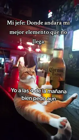 #Meme #MemeCut #CapCut #humor #risas 