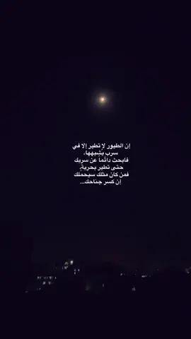 الكاتب #الكاتب_📚✍🏻__ .❤️