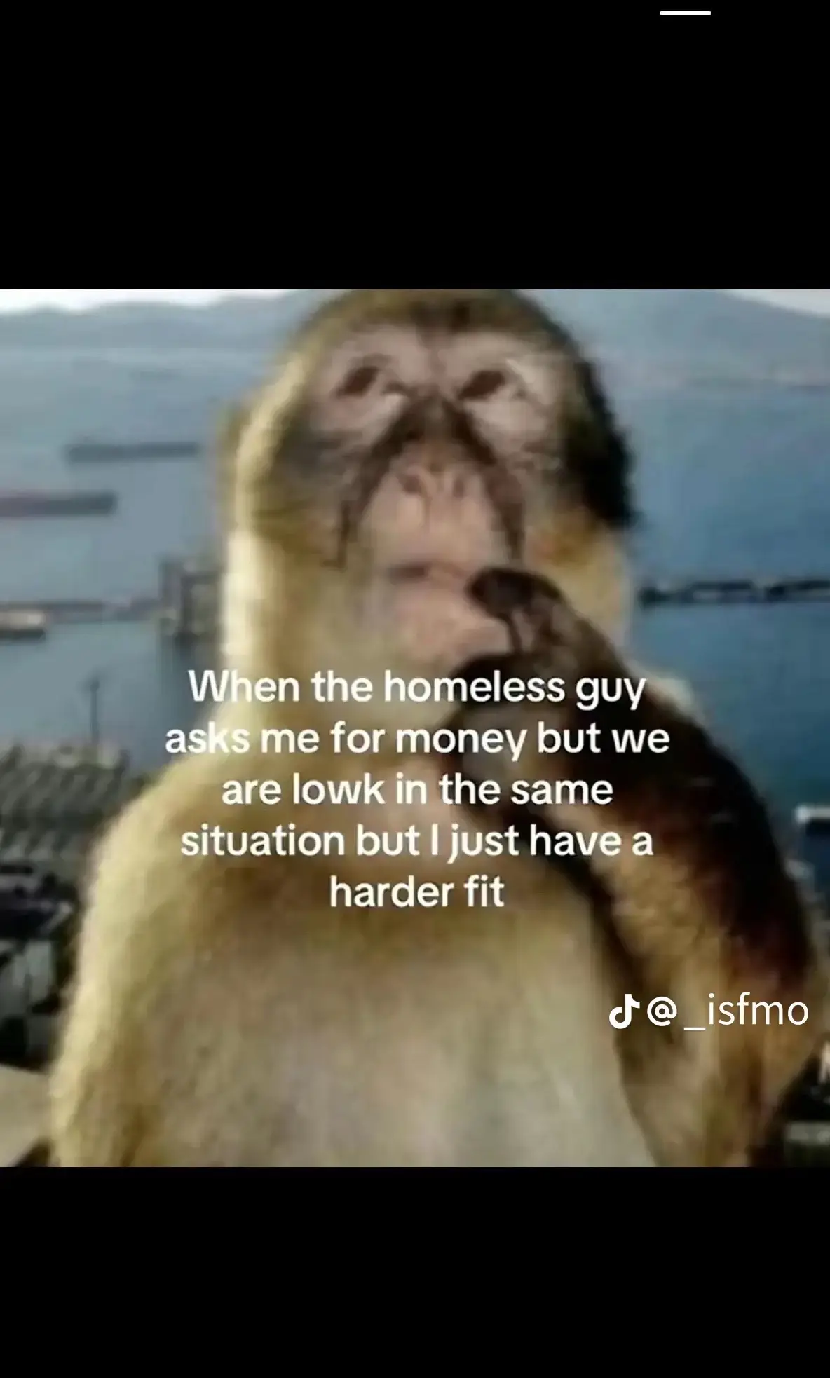 #vw#bmw#fyp#555#viral