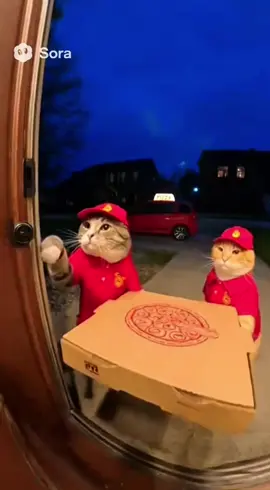 Special Delivery 😸 #viral #doorbell #ai #sora #fyppppppppppppppppppppppp 