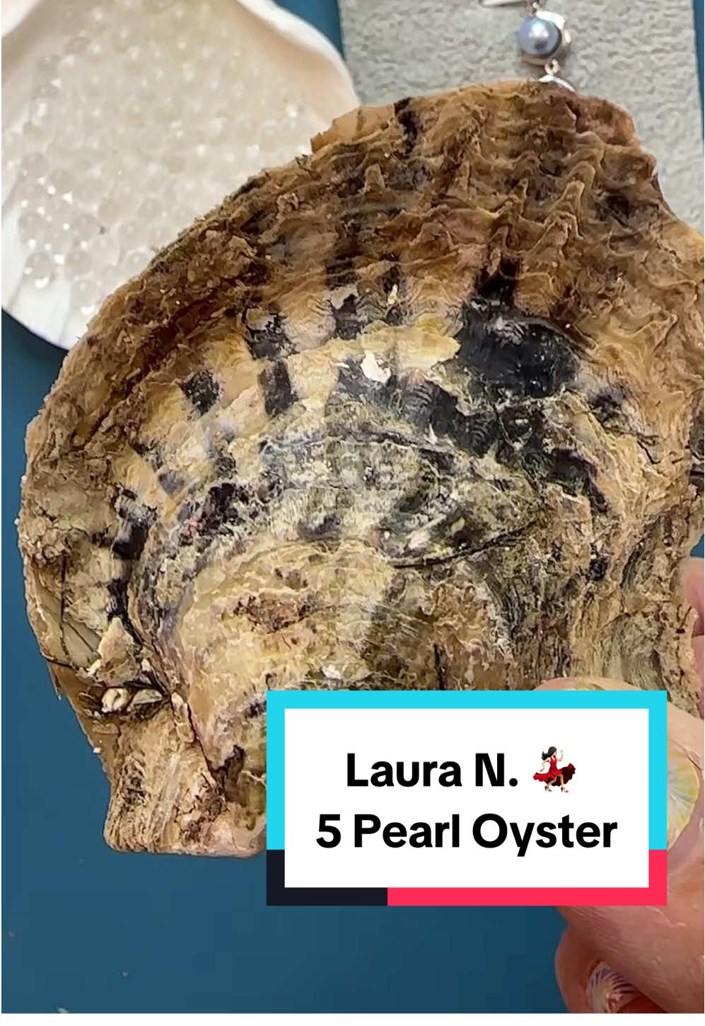 Laura N 💃🏻 5 Pearl Oyster  Tik tok DezLin Oyster Video - you can open at home or we can do a video -to order link in bio or go to DezLin.com Based in USA, California 🇺🇸 Thank You, We appreciate your order  #jewelry #bargain #deals  #pearl  #shopping     https://dezlin.com/search?q=oysters&type=product&options%5Bprefix%5D=last @Laura Nussbaum 