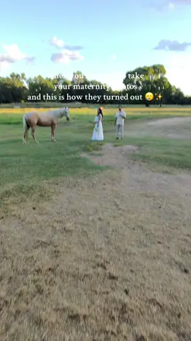 I still can’t get over these😩 #houstonphotographer #houstonphotography #maternityphotoshoot #maternityshoot #farmphotoshoot 