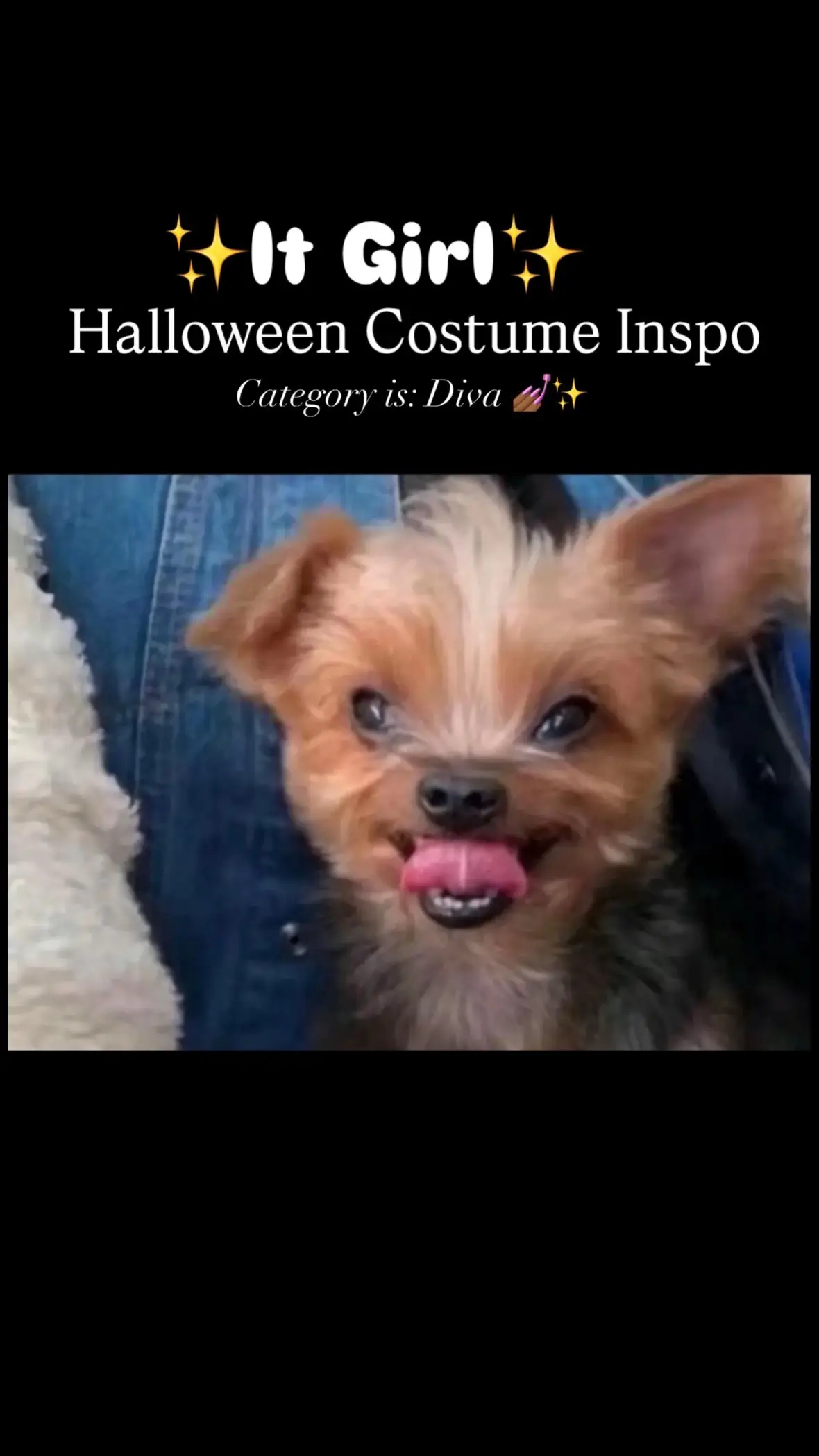 Pick your favorite 💕 #halloweencostume #costumeideas #halloweencostumeideas #easyhalloweencostume #easyhalloweenmakeup 