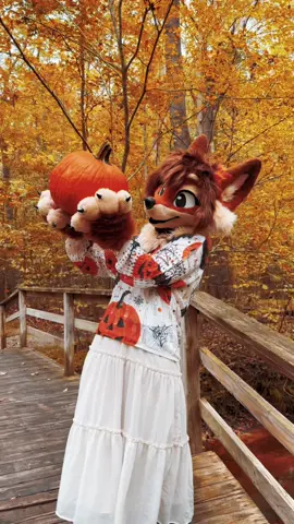 the audio is lowkey annoying but fun ok. also peep the sweater #furry #fursona #autumn #fursuit #fursuitmaker 