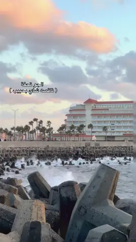 كل ما تعطل إديها شاي #viraltiktok #foryoupage #explor #wintervibes #ام_كلثوم 