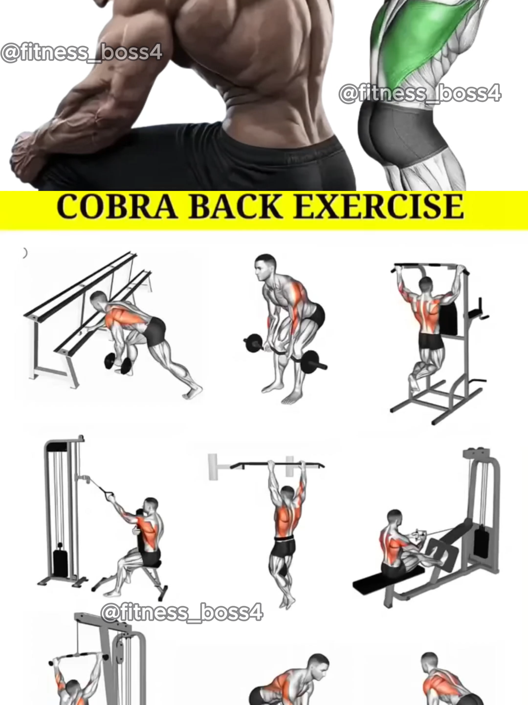 Ready to transform your back? 🔥 Which one of these exercises is your favorite for back day? Let me know in the comments! 👇 #workout #gym #GymTok #Fitness #foryou #fyp #fitnesstips #backday #backworkout #cobraback #bodybuilding #gymmotivation #muscle #fitnessmotivation #getfit