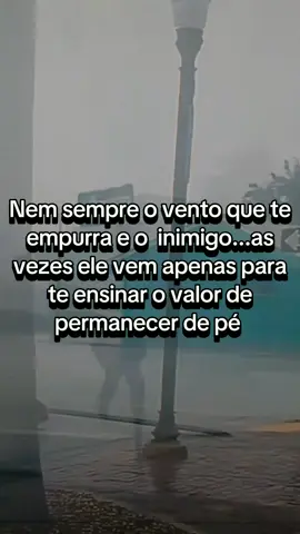 o vento pode soprar com força, mas que acredita e confia no Senhor permanece  firme, pois é Ele o alicerce que sustenta em meio a tempestade  #frasesmotivacionais #deus #Deus 
