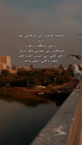 ممكن متابعه#اكسبلور #كرارمجيد 