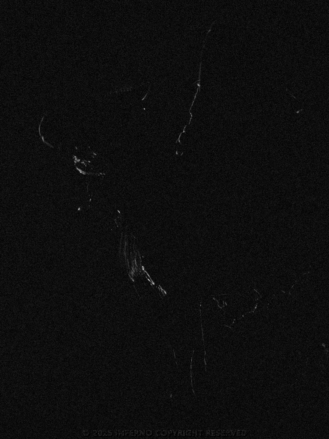 #nazgul #nazguledit #lotr #lotredit #edit #fyp