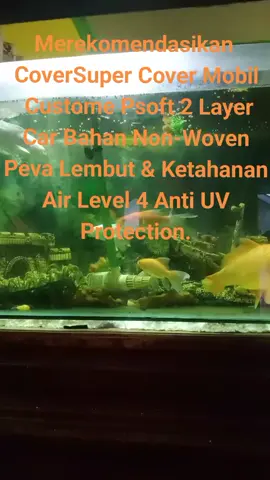 CoverSuper Cover Mobil Custome Psoft 2 Layer Car Bahan Non-Woven Peva Lembut & Ketahanan Air Level 4 Anti UV Protection  #tiktok #trending #trend #fyp #aksesorismobil 
