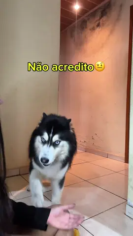 Eu em #fy #fyp #funny #viral #explorer 