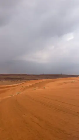 #اكسبلور #اكسبلورexplore #الوسم 