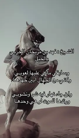 #حرب #حرابة_الدول #بني_سالم_ومسروح #قصيد #خيل_وخياله🐎 