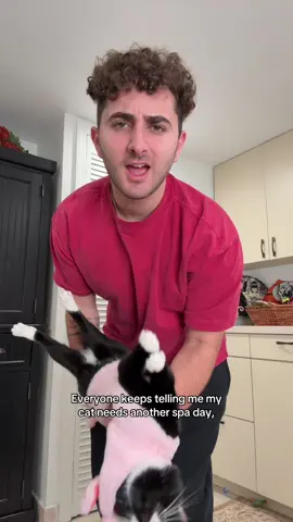 She loves her spa days #cattok #funny #kitten #viral #catsoftiktok 