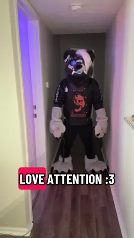 Love thy neighbor, and thy neighbors cat :3 #furry #furries #fursona #furryfandom #fursona 