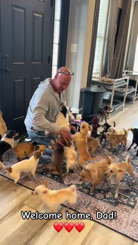 I’ve missed you guys so much! Coming home today I decided to pull a fast one on the misfits. Normally, I come in through the garage, but today I came to the front door. As you notice in the beginning, there’s only a few but just wait for to get out. They came in force. They sent reserves. They sent him back up. Eventually, I was overwhelmed and taken down☺️☺️☺️ as it should be. I’ve missed you babies! ❤️❤️❤️ Bglws.Com Used code holiday25 a checkout for 10% off all CBD and health products 