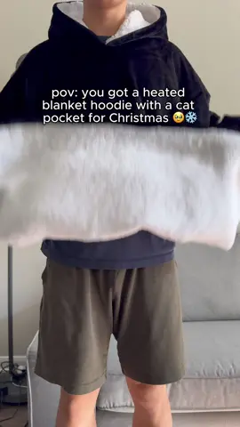 The best Christmas gift for cats this winter! #catsoftiktok #staywarm #catlovers #catparent #gift 