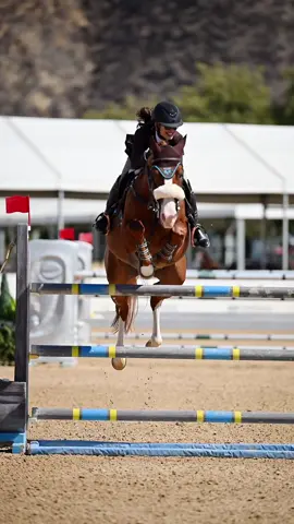 Ruby 🥈 in the 1.40m power/speed  #equestrian #showjumping #horsesontiktok  This horse is incredible & I’m so proud of how far he’s come along!!  @VOLTAIRE DESIGN @Reverie & Rein @Hannah Child’s Lifestyle @Tipperary Equestrian  video by: Photography by Julia B