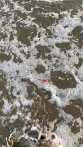 falta poco para🥹💗 #culpanuestra #culpables #peliculas #primevideo 