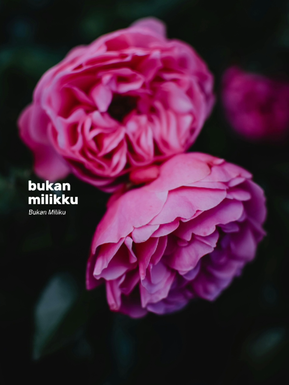 Bukan milikku #CapCut #lirik #fyp #capcutpioneer #pioneertemplate 