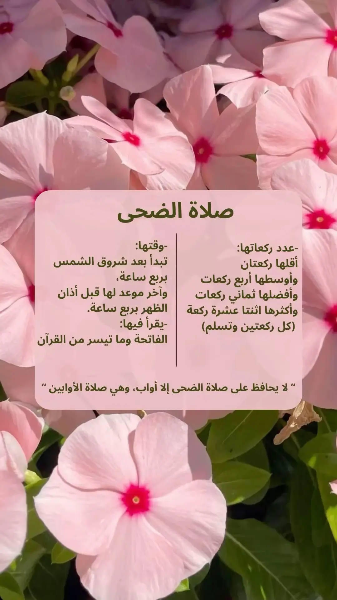 #اكسبلور #الضحى_صلاة_الاوابين #الشعب_الصيني_ماله_حل😂😂 #الدعاء_يغير_القدر 