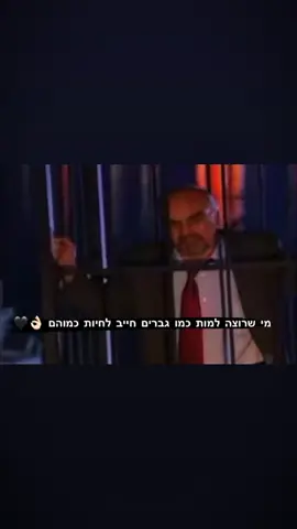 #זלפה_المثلث⚜️ #خيل_وخياله🐎 
