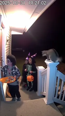 Pure Chaos - American Halloween gone wrong 🎃💀#halloween #doorbellcam #fyp #funny #usa 