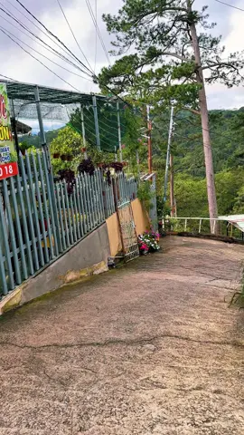 Trải nghiệm quán cà phê Lưng Chừng ở Đà Lạt 🥰🥰 📍 Cà Phê Lưng Chừng #dalatreviewtravel #latnoitravel #lungchung 