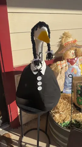 #wednesdayaddams #porchgoose 