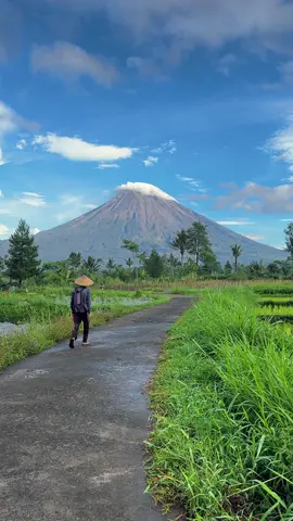 Suasana pagi hari di pedesaan lereng gunung semeru #gunungsemeru #viewsemeru #fypシ #sarkawi #terassemeru 