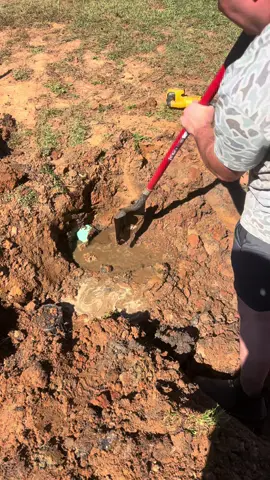 Can’t believe these things still exist @allenseptic_bama 