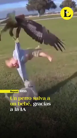 No creas todo lo que ves: en redes se ha viralizado este breve clip donde un perro salva a un bebé de una águila, pero no es real, corresponde a un video hecho con IA. #IA #Fake #aves
