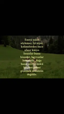Enerji yalan söylemez. İyi niyet, kelimelerden önce ulaşır kişiye. İnsanlar bunu hisseder, hayvanlar bunu bilir, doğa bunu sever.Çünkü kalpten geleni gizlemek mümkün değildir.⭐️ #kesfet #fypage #repost #aesthetic #pinterest 