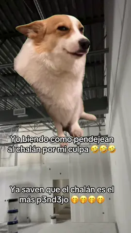 #CapCut siempre al chalán es el más pensándolo bien Bamonos 🤣🤣🤣🤣🤣🤣🤣🤣🚦🚦🚦🚦🚦