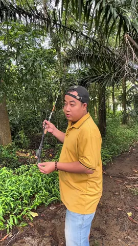 Cần Câu Lure EAGLE SUPRE 2 Ngọn M & MH Bạo Lực #docau67 #cancau #cancauca #cancaulure #cancaumay 