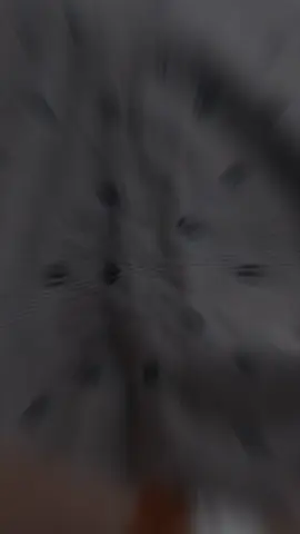 #حوامل_اي_شهر_صرتو_🤰🤰😍🦋 #شو_معكم_بنوتي_ول_صبي💙💖 